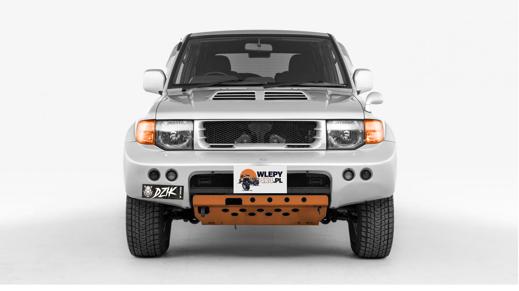 Dzik! W terenie - obrazek 4